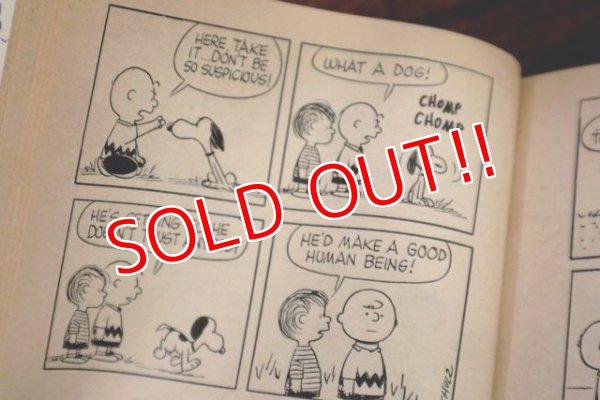 画像3: ct-191001-110 PEANUTS / 1960's Comic "Go Fly a Kite,Charlie Brown"