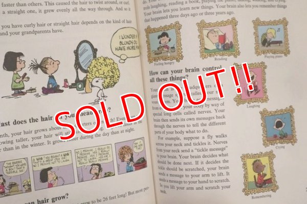 画像5: ct-191001-114 Charlie Brown's / 'Cyclopedia Volume 1 Book