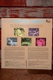 画像5: ct-191211-72 Snow White and the Seven Dwarfs / 1960's Record