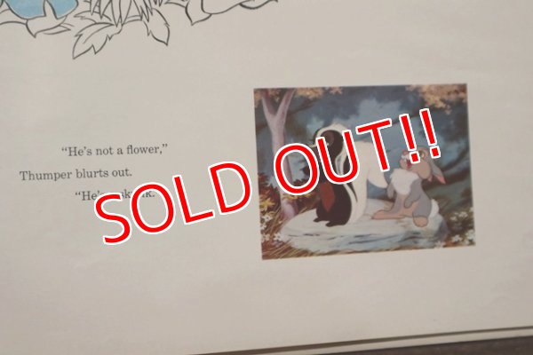 画像5: ct-191211-65 Bambi / 1960's Record and Book