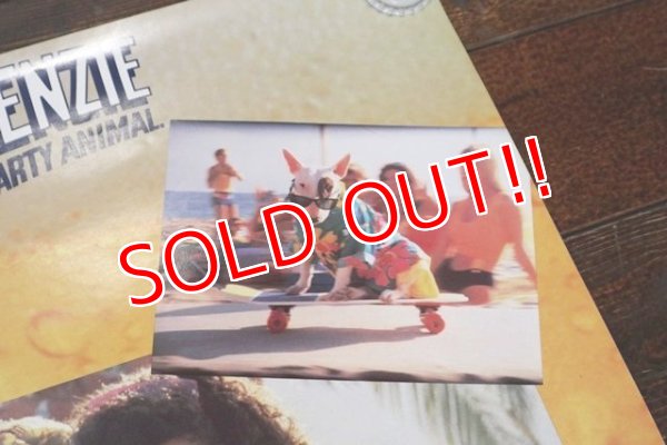 画像3: ct-200201-18 BUD LIGHT / Spuds Mackenzie 1980's Poster