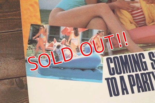 画像5: ct-200201-18 BUD LIGHT / Spuds Mackenzie 1980's Poster