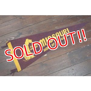 画像: ct-200201-17 MISSOURI HOME OF THE OZARKS / Vintage Pennant