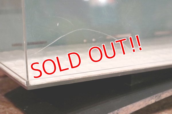 画像6: dp-200201-13 TIMEX / Ladies Electric 1970's  Display Case