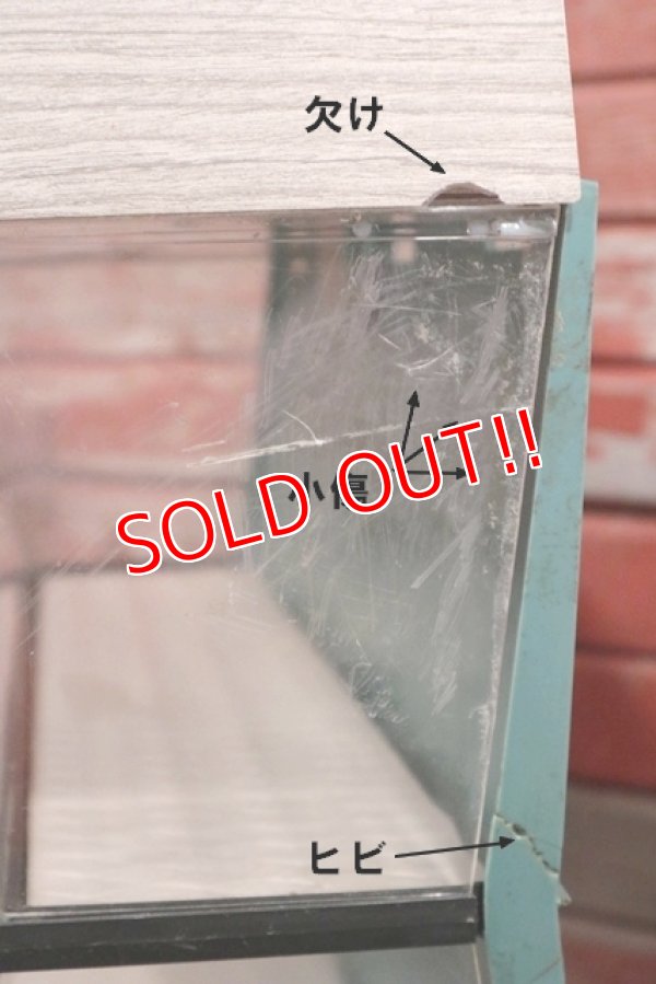 画像7: dp-200201-13 TIMEX / Ladies Electric 1970's  Display Case