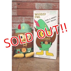 画像: ct-200201-22 Woodsy Owl / Amway 1970's Teach 'N' Play Pre-School Toy