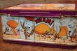 画像8: ct-200201-54 Road Runner / Thermos 1970's Metal Lunch Box