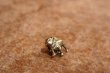 画像2: ct-200301-04 Mack Truck / 1960's Bulldog Pins