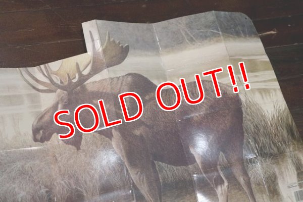 画像3: dp-200301-22 RED WING / 1990's Car Sun Shade