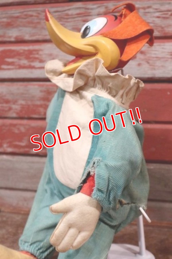 画像6: ct-200403-14 Woody Woodpecker / MATTEL 1960's Talking Doll