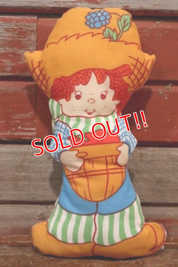 画像4: ct-200403-35 Strawberry Shortcake / 1980's Cloth Doll Set