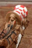 画像2: ct-190605-66 Ralston Purina Company / 1975 Covered Wagon Squeak Toy