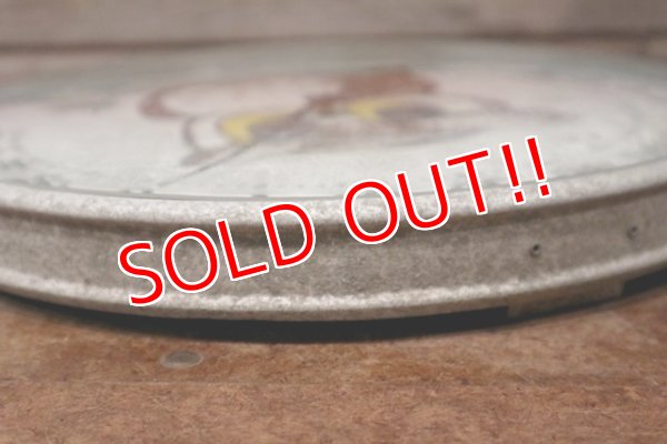 画像7: ct-200601-41 Vintage Owl Thermometer