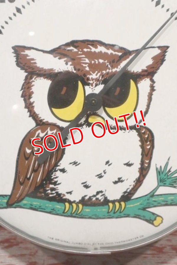 画像2: ct-200601-41 Vintage Owl Thermometer