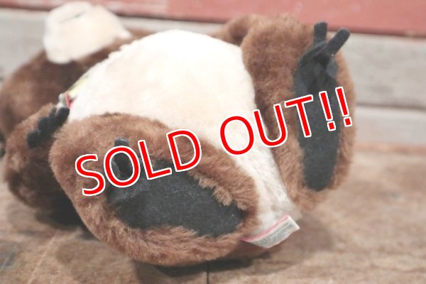 画像6: ct-200415-12 Misha Bear / DAKIN 1979 Plush Doll