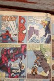 画像4: ct-190701-10 WEB OF SPIDER-MAN / 1989 Comic