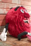 画像4: ct-200901-69 California Raisins / ACE Novelty Co.,INC 1988 Plush Doll