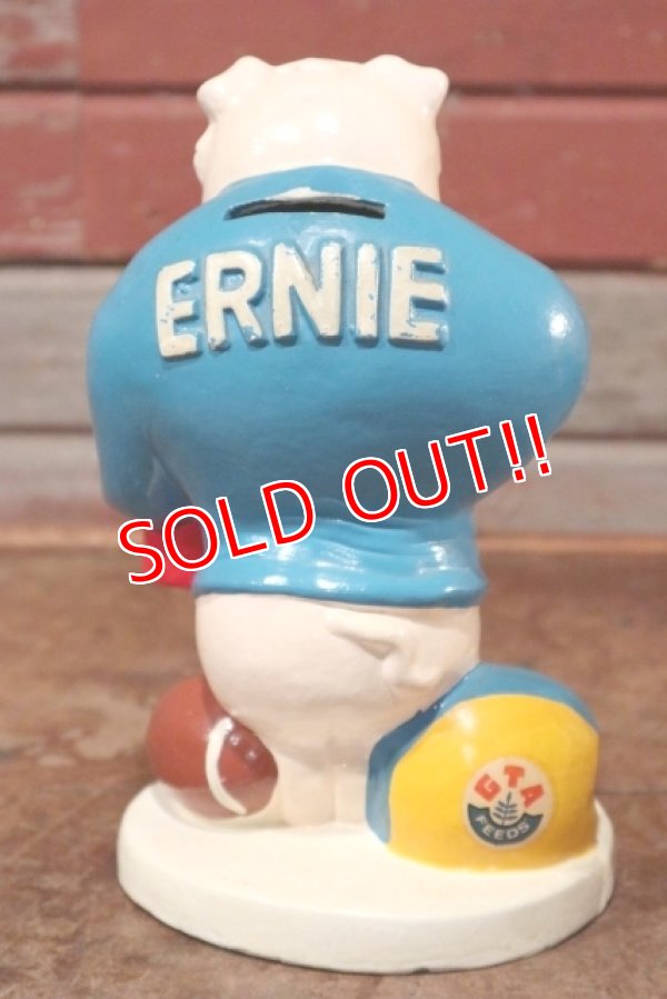 画像7: ct-201001-07 GTA Feeds / ERNIE PIG 1970's Coin Bank
