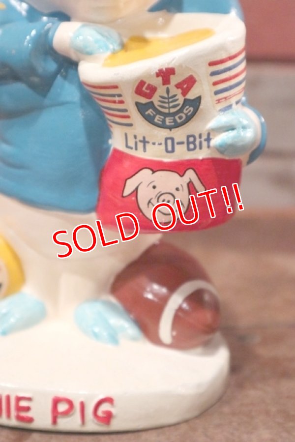 画像3: ct-201001-07 GTA Feeds / ERNIE PIG 1970's Coin Bank