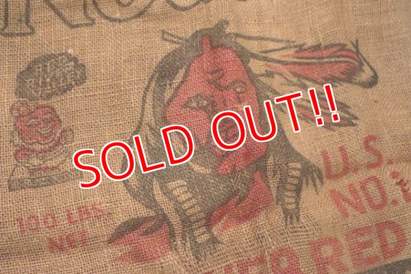 画像2: dp-201114-30 Nodal Red River Red / Vintage Potatoes Bag