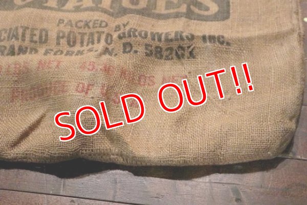 画像5: dp-201114-30 Nodal Red River Red / Vintage Potatoes Bag