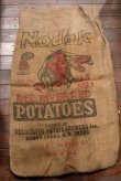 画像1: dp-201114-30 Nodal Red River Red / Vintage Potatoes Bag