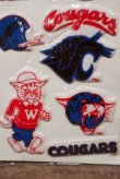 画像3: ct-201114-27 WASHINGTON STATE UNIVERSITY / 1984 Puffy Stickers