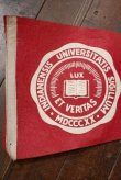 画像2: dp-201114-32 INDIANA UNIVERSITY / Vintage Pennant