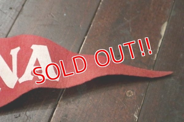 画像4: dp-201114-32 INDIANA UNIVERSITY / Vintage Pennant