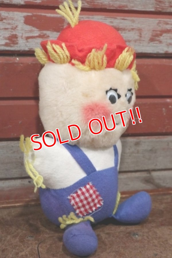 画像4: ct-201201-61 Del Monte Country Yumkin / 1982 "Shoo-Shoo Scarecrow" Plush Doll