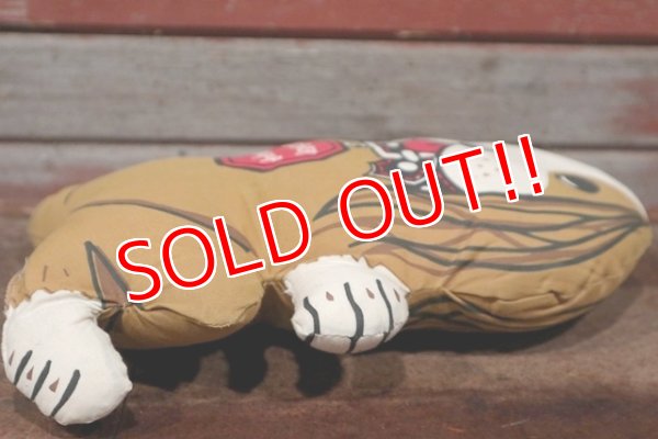 画像8: ct-201201-44 Myer's Publishing Company / LERNER NEWPUP 1970's Pillow Doll