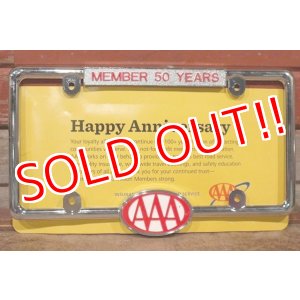画像: dp-210301-13 AAA / 2013 License Plate Frame