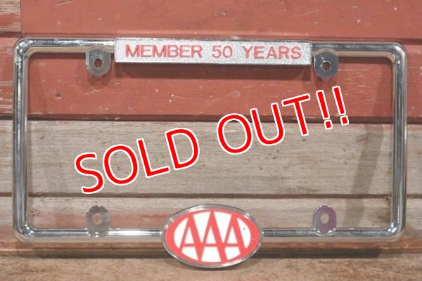 画像2: dp-210301-13 AAA / 2013 License Plate Frame