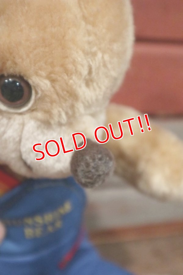 画像7: ct-210301-11 Knickerbocker 1980's Sunshine Bear Plush Doll