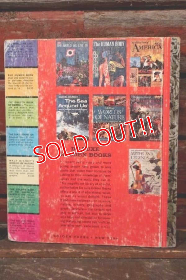 画像8: ct-210401-48 Smokey Bear / 1950's LITTLE GOLDN BOOK