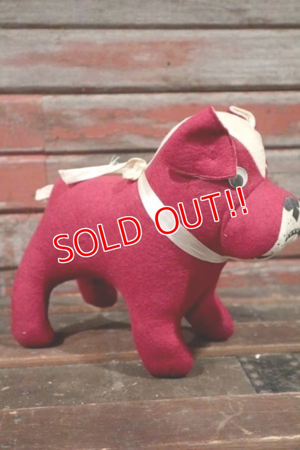 画像4: dp-210401-41 Pasadena City College / 1950's-1960's College Mascot Doll