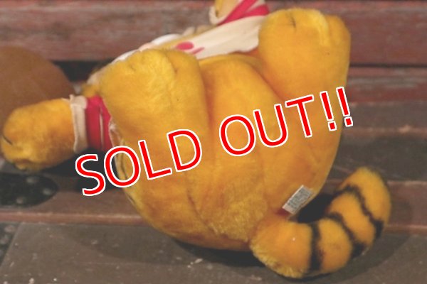 画像9: ct-210501-16 Garfield / DAKIN 1980's Plush Doll "Football"