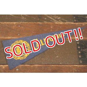 画像: dp-210401-106 UNIVERSITY OF CALIFORNIA / Vintage Pennant