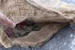 画像7: dp-210401-66 RED RIVER VALLEY POTATOES / Vintage Burlap Bag