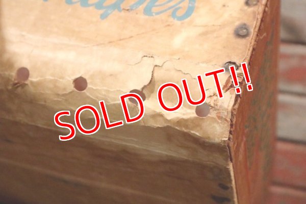 画像7: dp-210401-12 Lovell Table Grapes / Vintage Wood Box