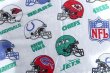 画像4: ct-210401-03 NFL / 1993 Flat Sheet (Twin)