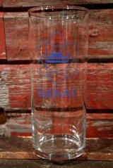 画像: dp-201101-13 Vintage Hawaii Tumbler