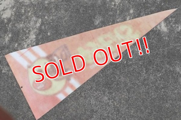 画像6: ct-210401-106 SAN FRANCISCO 49ERS / 1980's Pennant