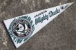 画像1: ct-141028-15 ANAHEIM Mighty Ducks / 1990's Pennant