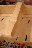 画像8: dp-210601-17 Fresh OREGON BEERIES / Cardboard Box