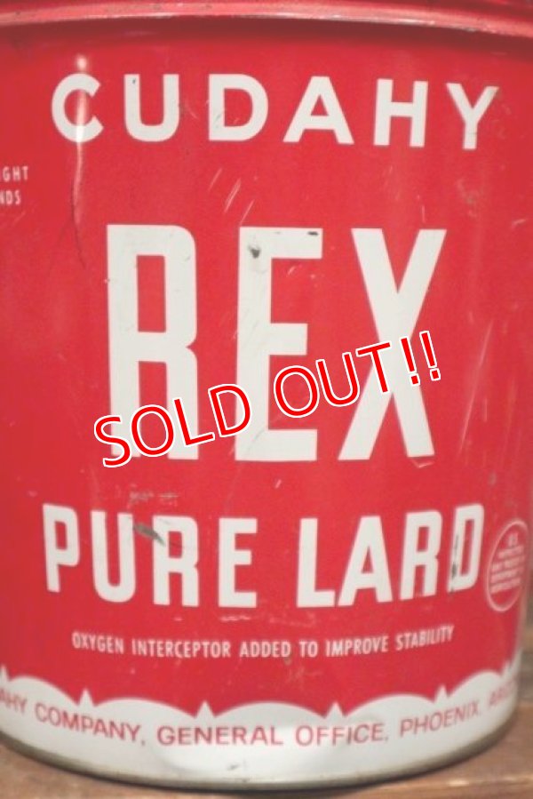 画像2: dp-210601-45 CUDAHY REX PURE LARD / Vintage Tin Bucket