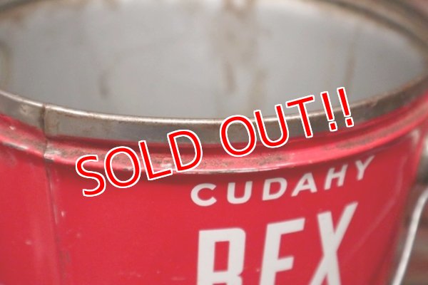 画像6: dp-210601-45 CUDAHY REX PURE LARD / Vintage Tin Bucket