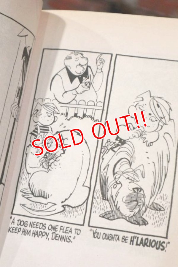 画像3: ct-210501-103 Dennis the Menace / 1980's Comic "Sunrise Express"