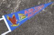 画像1: dp-210401-106  AIR FORCE ACADEMY / Pennant