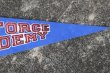 画像4: dp-210401-106  AIR FORCE ACADEMY / Pennant